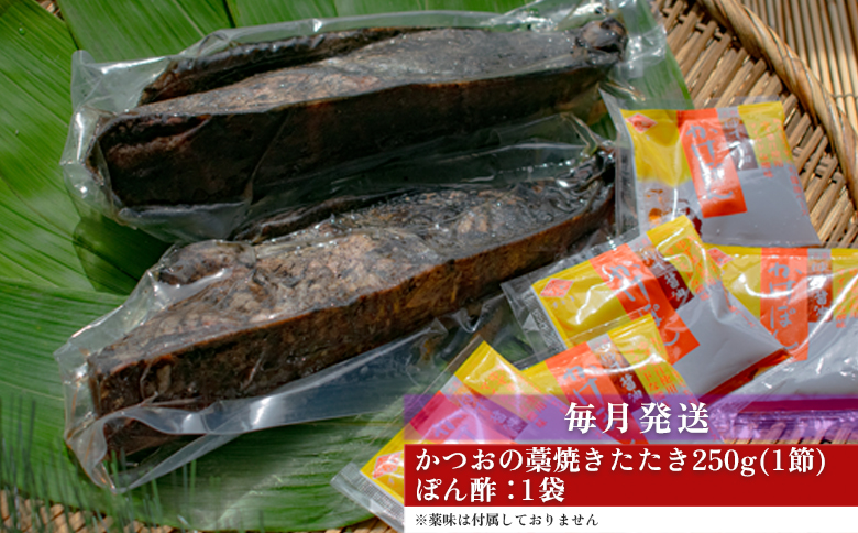 【定期便12回】本場 高知 かつおの藁焼きたたき 250g以上 小分け 真空 パック｜新鮮 かつお カツオ 鰹 カツオのたたき かつおたたき 鰹のたたき かつおタタキ 個包装 冷凍 家飲み ごちそう ギフト 贈答 海鮮 魚介 ランキング 産地直送