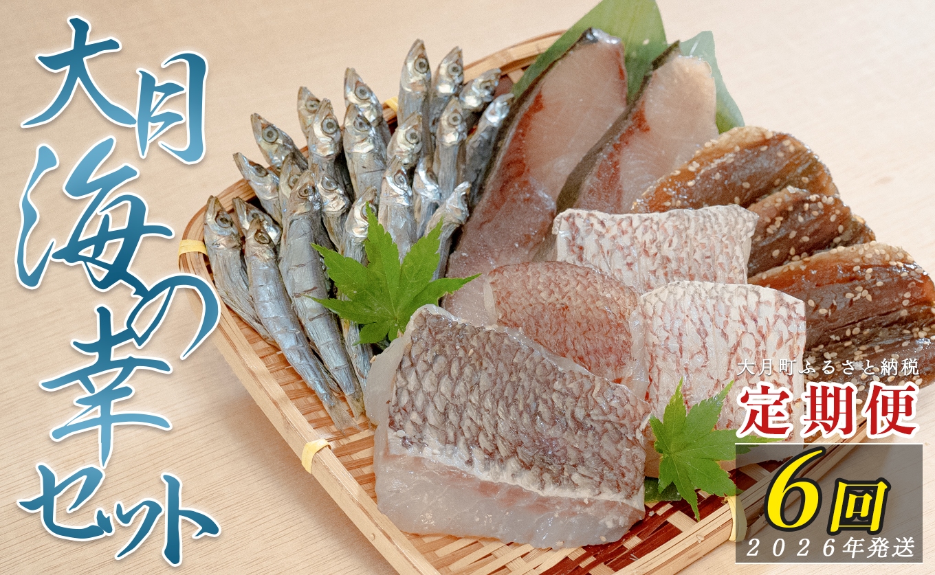 【定期便 6回】大月海の幸セット