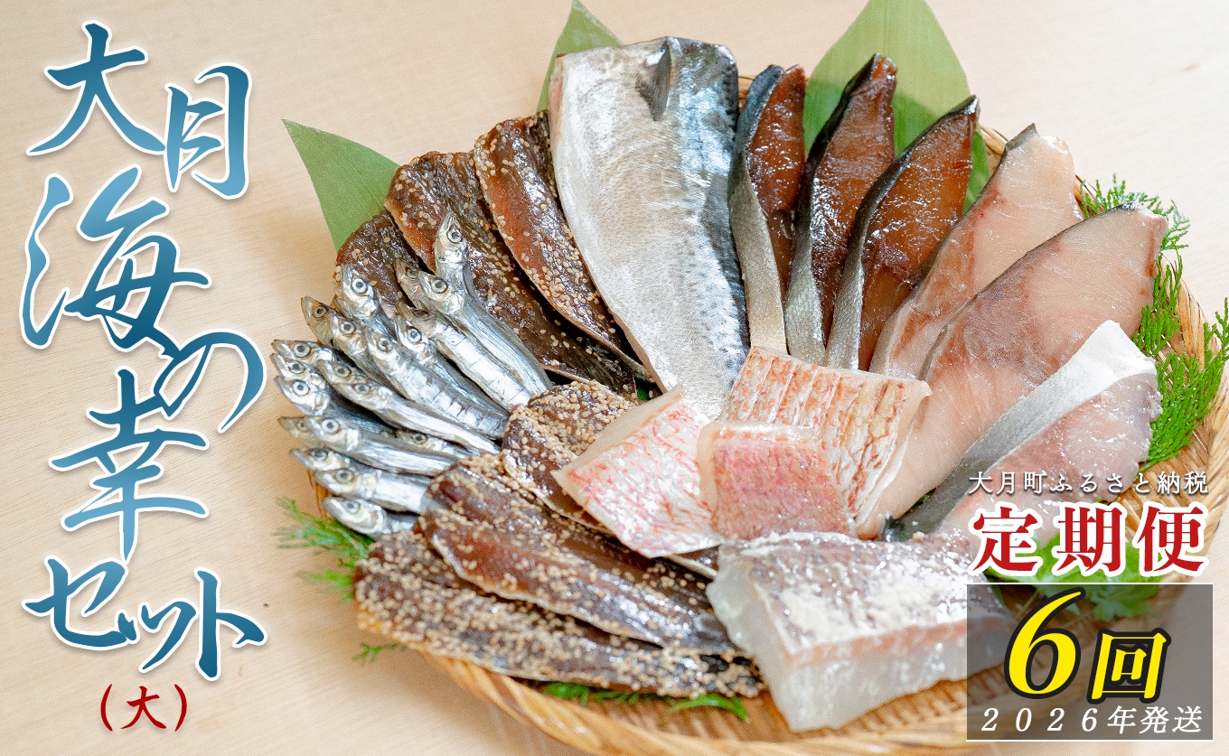 【定期便 6回】大月海の幸セット（大）