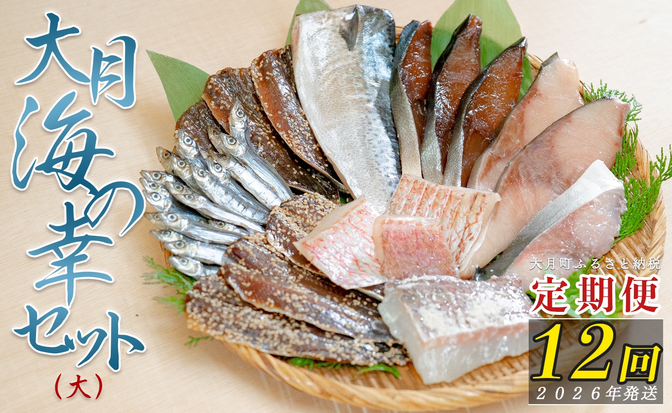 【定期便 12回】大月海の幸セット（大)