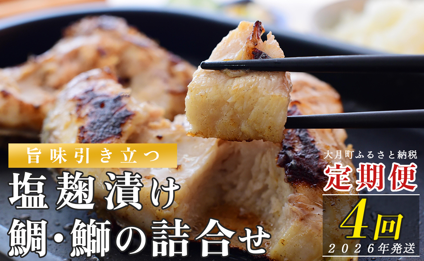 【定期便 4回】塩麹に漬け込んだタイ＆ブリ