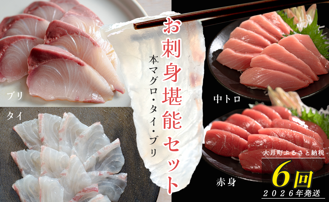 【定期便 6回】本マグロ・タイ・ブリ お刺身堪能セット