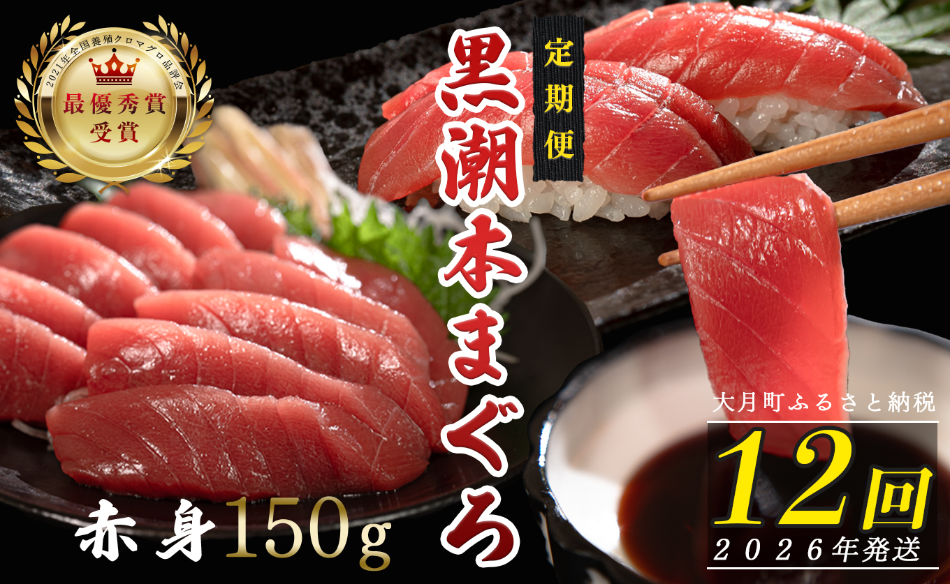 【定期便12回】日本一!黒潮本まぐろ 赤身