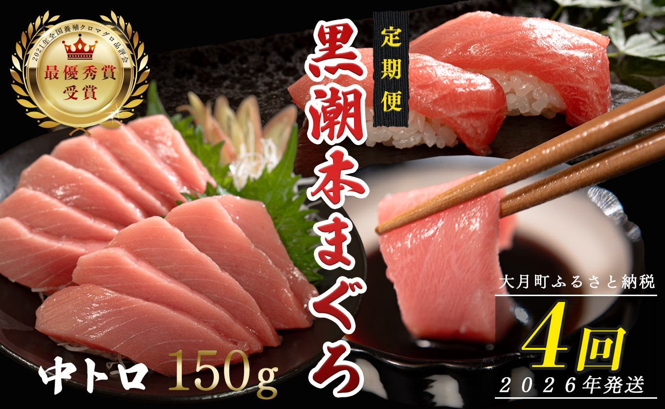 【定期便4回】日本一!黒潮本まぐろ 中トロ