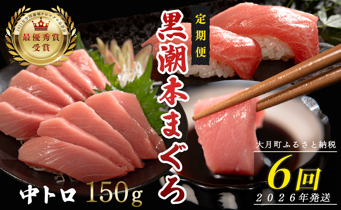 【定期便6回】日本一!黒潮本まぐろ 中トロ