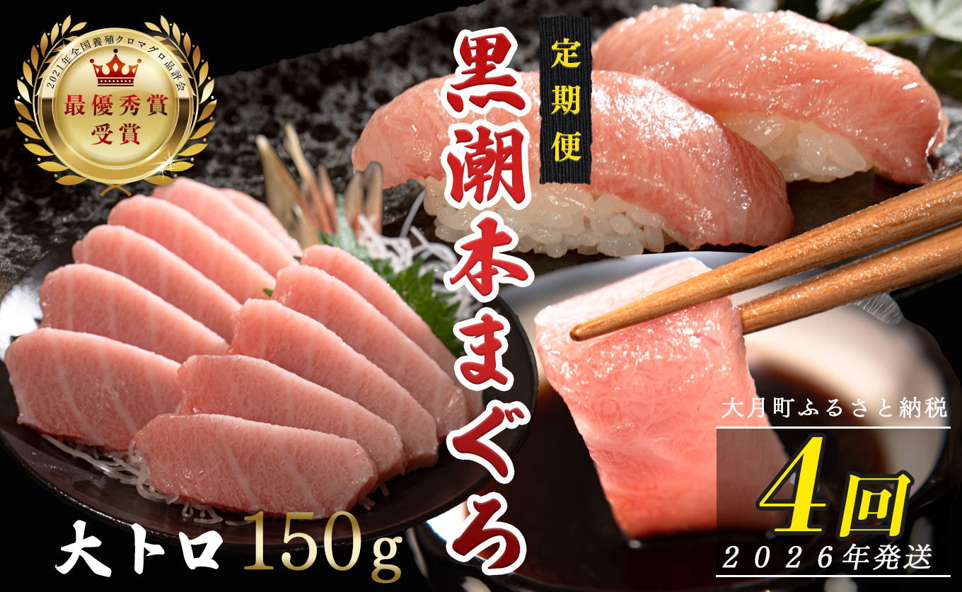 【定期便4回】日本一!黒潮本まぐろ 大トロ