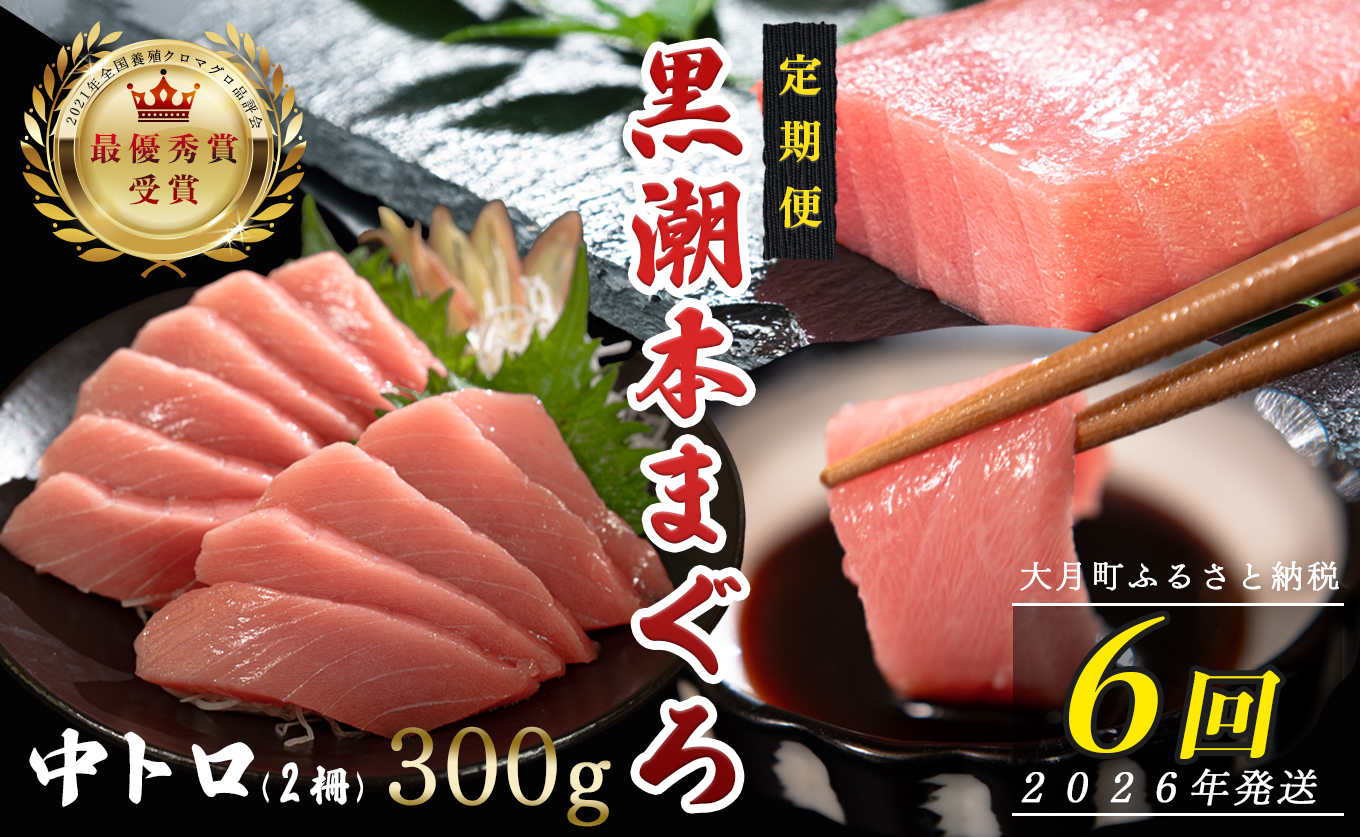 【定期便6回】日本一!黒潮本まぐろ 中トロ2柵