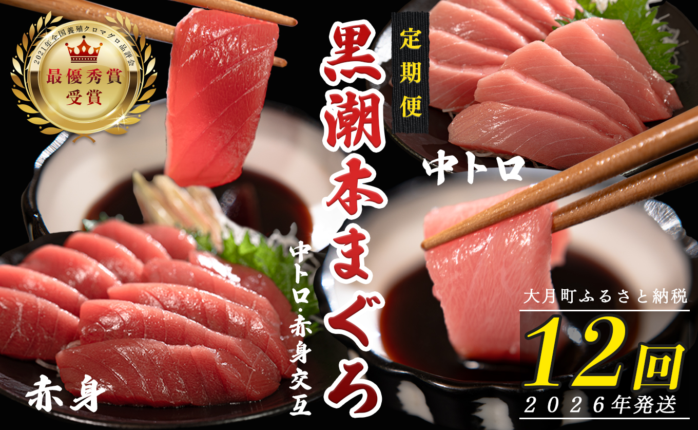 【定期便12回】日本一!黒潮本まぐろ 中トロ・赤身（交互）