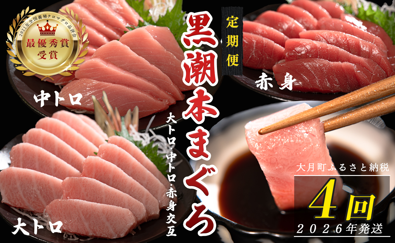 【定期便4回】日本一!黒潮本まぐろ 大トロ・中トロ・赤身(交互)