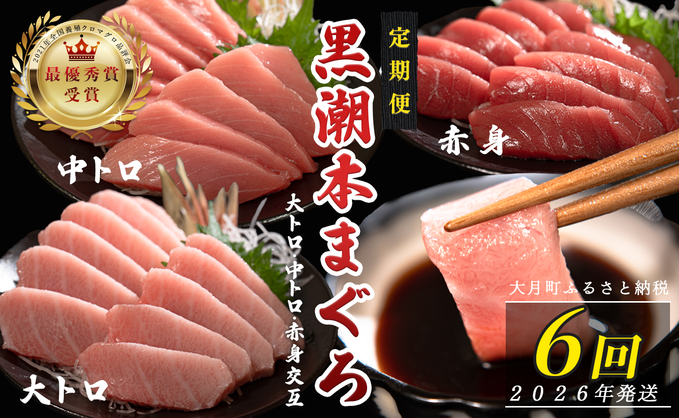 【定期便6回】日本一!黒潮本まぐろ 大トロ・中トロ・赤身（交互）