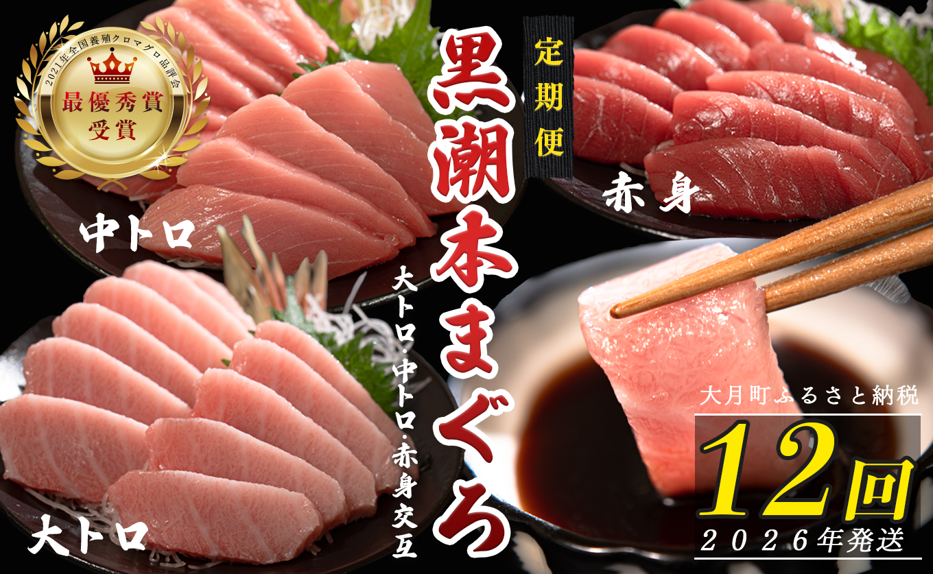 【定期便12回】日本一!黒潮本まぐろ 大トロ・中トロ・赤身（交互）