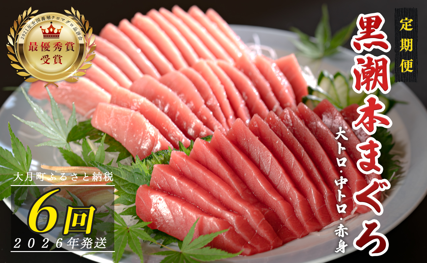 【定期便6回】日本一!黒潮本まぐろ 大トロ・中トロ・赤身 3種セット