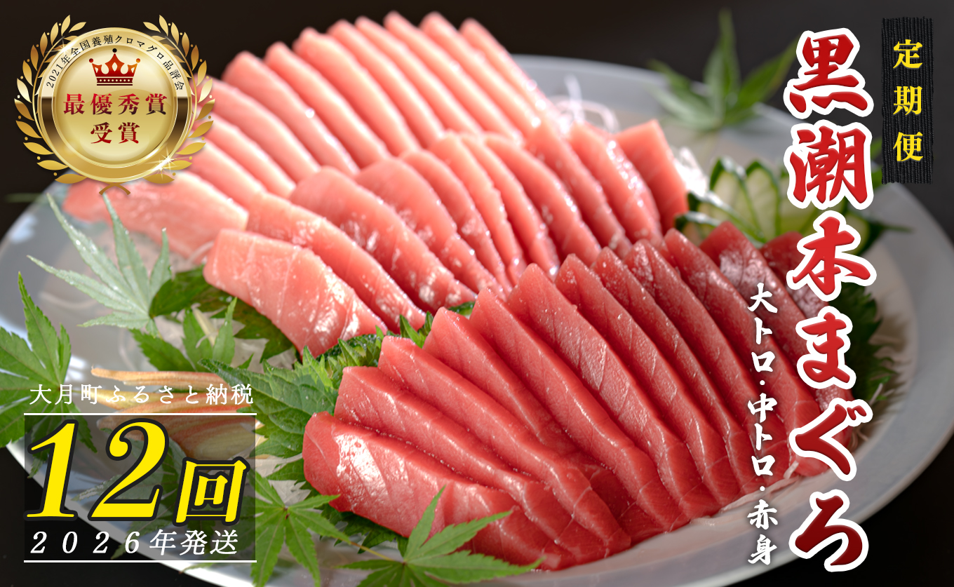 【定期便12回】日本一!黒潮本まぐろ 大トロ・中トロ・赤身 3種セット