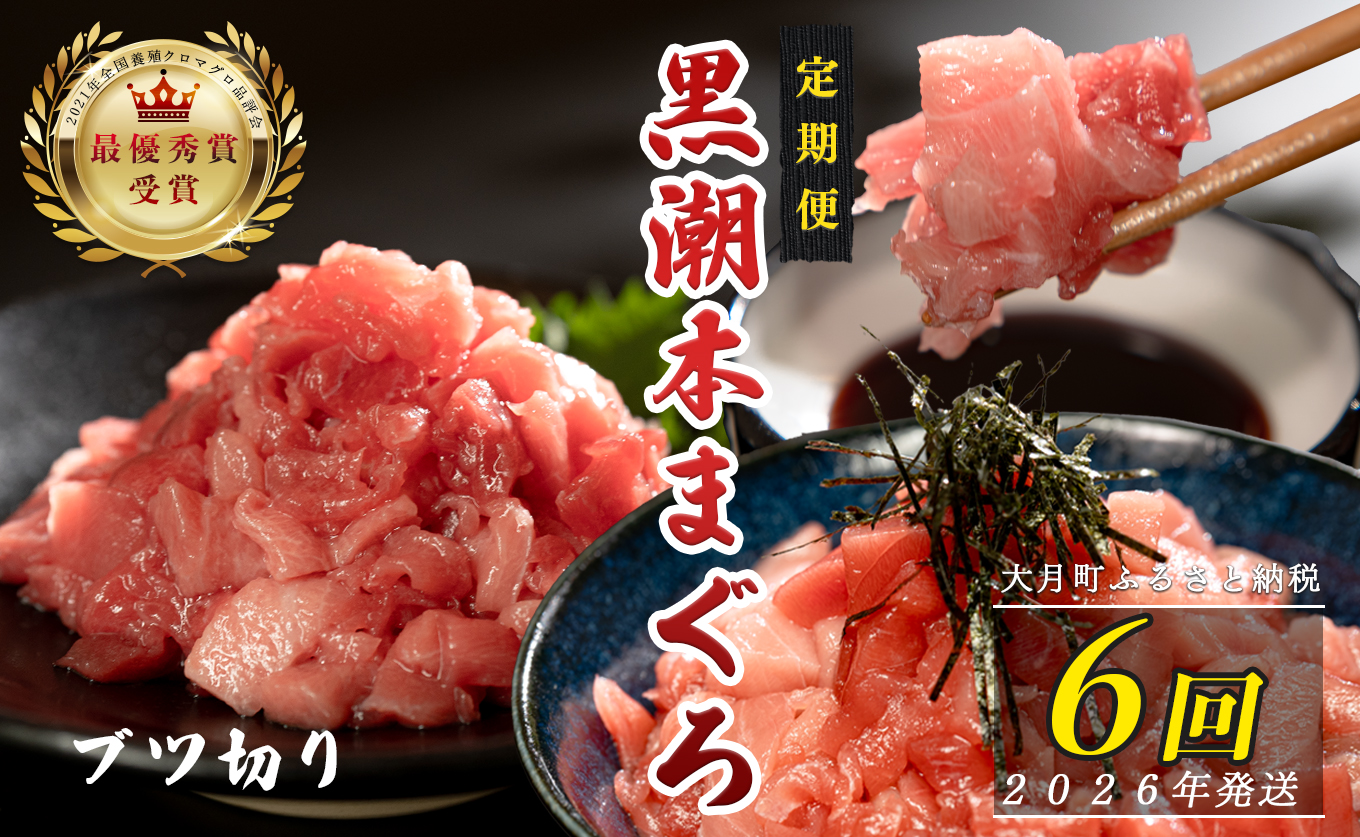 【定期便6回】日本一!黒潮本まぐろ ブツ切り