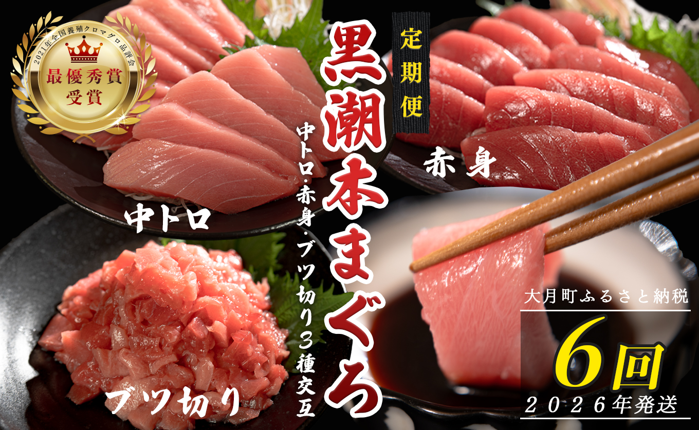 【定期便6回】日本一!黒潮本まぐろ 中トロ・赤身・ブツ切り（3種交互）