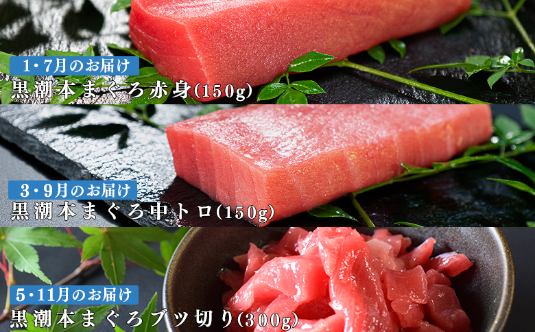 ãå®æäŸ¿6åãæ¥æ¬äž!黿œ®æ¬ãŸãã äžããã»èµ€èº«ã»ããåãïŒ3皮亀äºïŒ