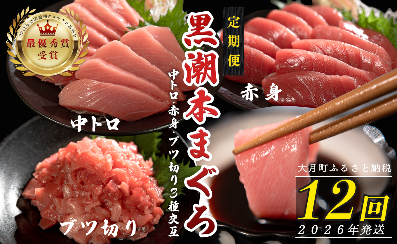 【定期便12回】日本一!黒潮本まぐろ 中トロ・赤身・ブツ切り（3種交互）