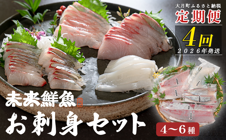 【定期便4回】旬のお刺身用柵セット 4～6種 刺身 高知県産｜盛り合わせ 食べ比べ 鮮度抜群 産地直送 海の幸 海鮮 魚介 新鮮 おつまみ 酒 海鮮丼 寿司 厳選 ギフト おすすめ 人気 お盆 お中元 お歳暮 カルパッチョ お取り寄せ グルメ