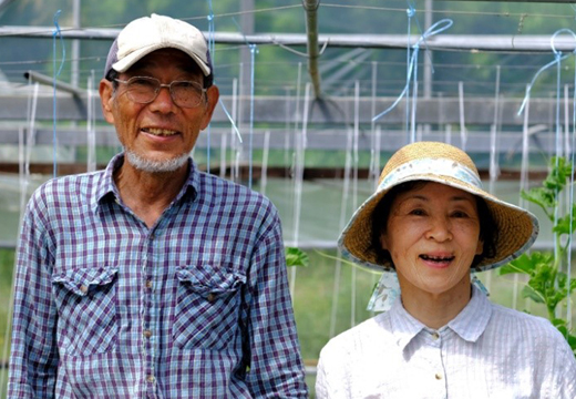 囲生姜 約1.2kg 生姜 しょうが ショウガ ジンジャー 囲い生姜  国産 薬味 辛み 香り スパイス 野菜 煮物 炒め物 ガリ 紅生姜 ジンジャーシロップ 生姜ジャム 土佐 産地直送 高知県 大月町産 田村農園