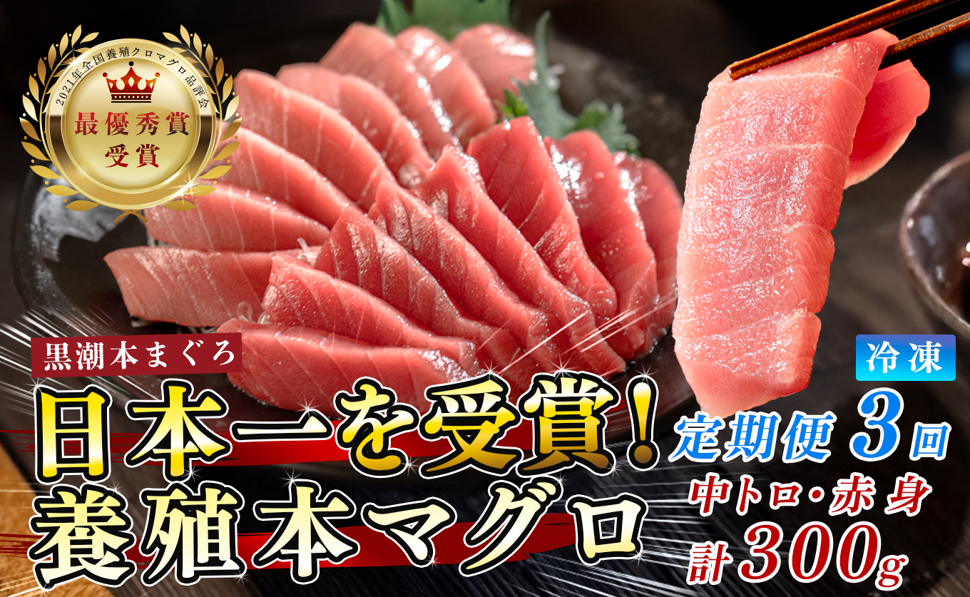 まぐろ マグロ 本鮪 黒潮本まぐろ 中トロ 赤身 定期便 3回 計300g × 3回 刺身 さしみ 最優秀賞 全国養殖クロマグロ品評会 受賞 魚 魚介類 海鮮 柵 サク 冷凍 お取り寄せ 産地直送 ギフト 贈答  高知県 大月町