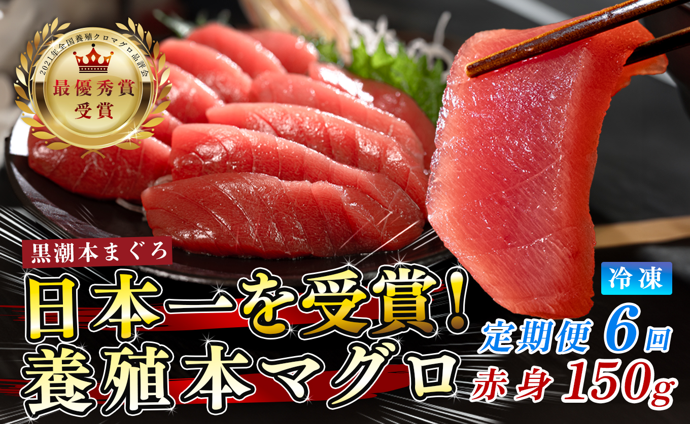まぐろ マグロ 本鮪 黒潮本まぐろ 赤身 定期便 6回 150g × 6回 刺身 さしみ 最優秀賞 全国養殖クロマグロ品評会 受賞 魚 魚介類 海鮮 柵 サク 冷凍 お取り寄せ 産地直送 ギフト 贈答  高知県 大月町