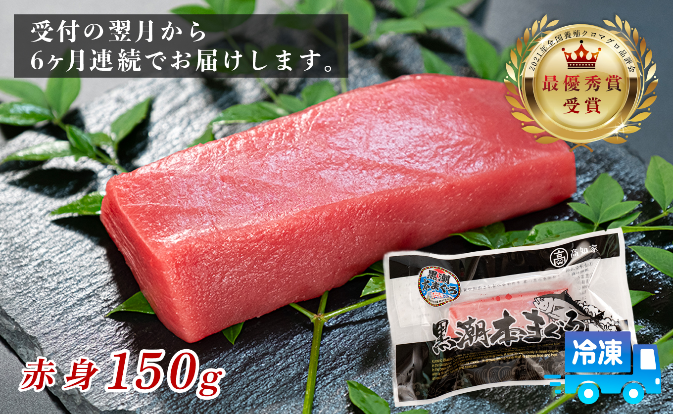 まぐろ マグロ 本鮪 黒潮本まぐろ 赤身 定期便 6回 150g × 6回 刺身 さしみ 最優秀賞 全国養殖クロマグロ品評会 受賞 魚 魚介類 海鮮 柵 サク 冷凍 お取り寄せ 産地直送 ギフト 贈答  高知県 大月町