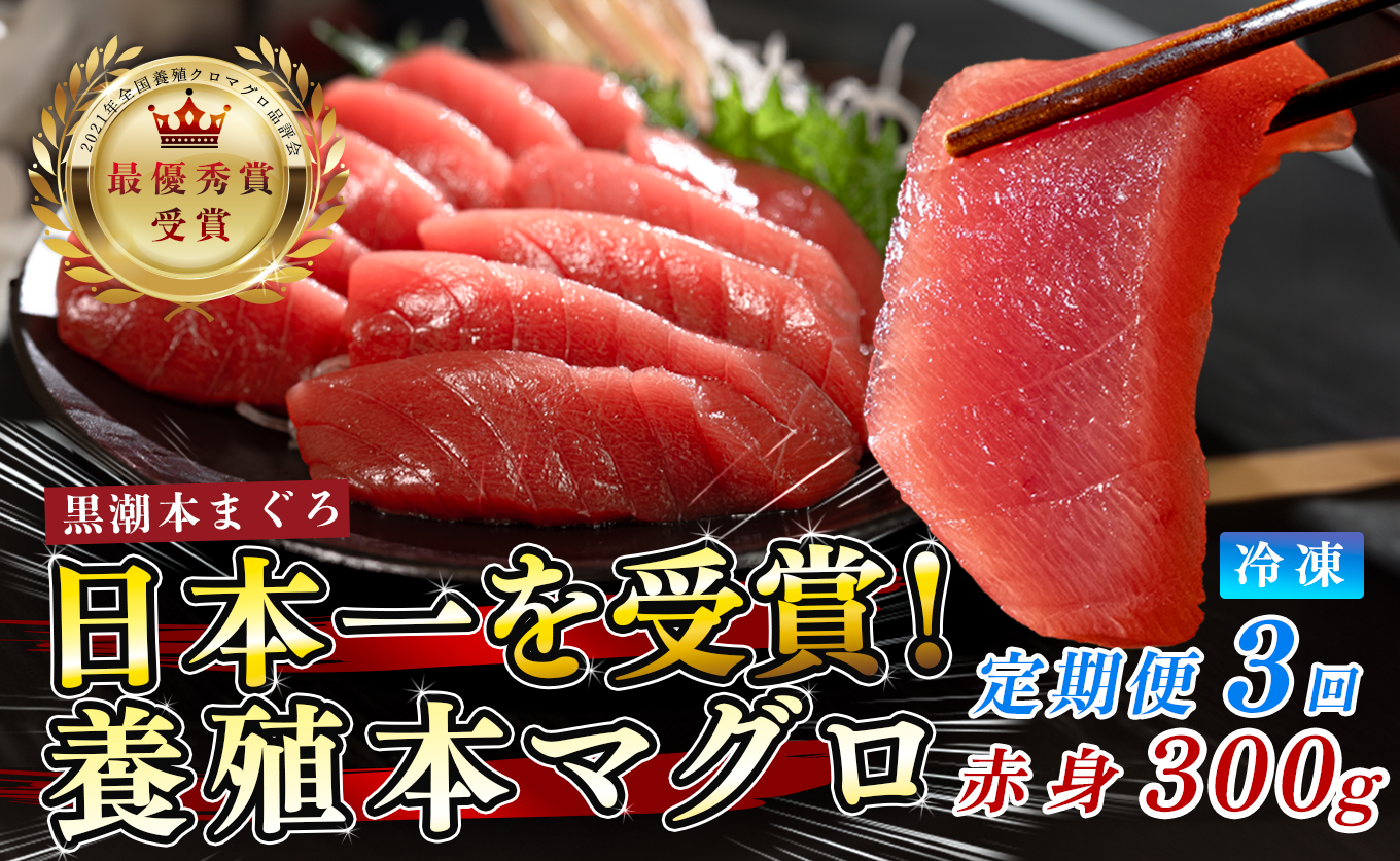 まぐろ マグロ 本鮪 黒潮本まぐろ 赤身 定期便 3回 300g × 3回 刺身 さしみ 最優秀賞 全国養殖クロマグロ品評会 受賞 魚 魚介類 海鮮 柵 サク 冷凍 お取り寄せ 産地直送 ギフト 贈答  高知県 大月町