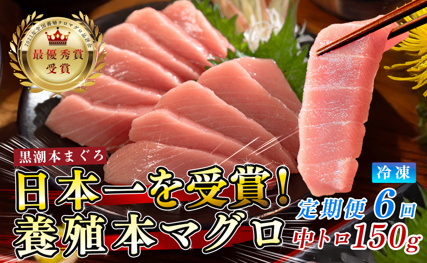 まぐろ マグロ 本鮪 黒潮本まぐろ 中トロ 定期便 6回 150g × 6回 刺身 さしみ 最優秀賞 全国養殖クロマグロ品評会 受賞 魚 魚介類 海鮮 柵 サク 冷凍 お取り寄せ 産地直送 ギフト 贈答  高知県 大月町