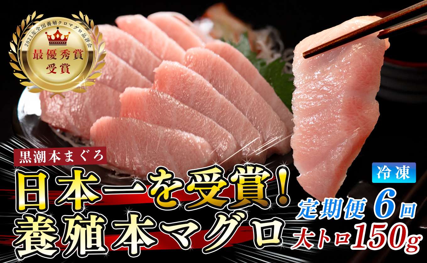 まぐろ マグロ 本鮪 黒潮本まぐろ 大トロ 定期便 6回 150g × 6回 刺身 さしみ 最優秀賞 全国養殖クロマグロ品評会 受賞 魚 魚介類 海鮮 柵 サク 冷凍 お取り寄せ 産地直送 ギフト 贈答  高知県 大月町