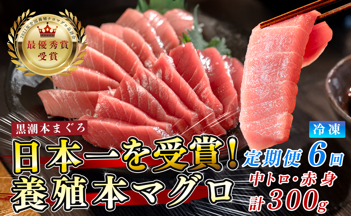 まぐろ マグロ 本鮪 黒潮本まぐろ 中トロ 赤身 定期便 6回 計300g × 6回 刺身 さしみ 最優秀賞 全国養殖クロマグロ品評会 受賞 魚 魚介類 海鮮 柵 サク 冷凍 お取り寄せ 産地直送 ギフト 贈答  高知県 大月町
