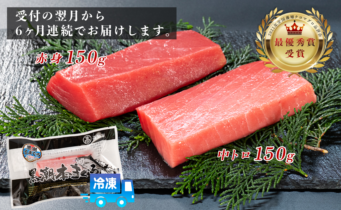まぐろ マグロ 本鮪 黒潮本まぐろ 中トロ 赤身 定期便 6回 計300g × 6回 刺身 さしみ 最優秀賞 全国養殖クロマグロ品評会 受賞 魚 魚介類 海鮮 柵 サク 冷凍 お取り寄せ 産地直送 ギフト 贈答  高知県 大月町