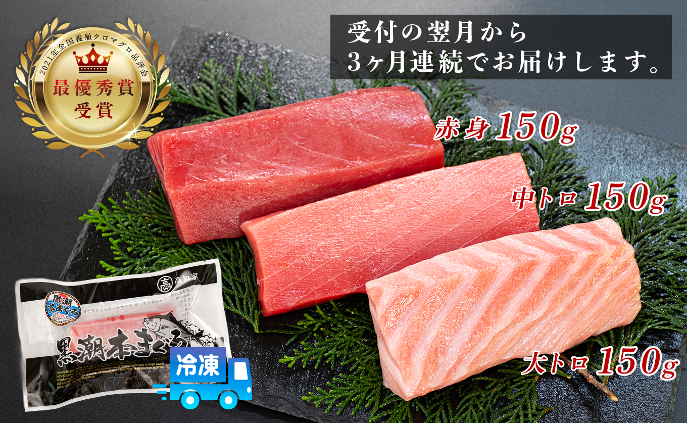 まぐろ マグロ 本鮪 黒潮本まぐろ 大トロ 中トロ 赤身 定期便 3回 計450g × 3回 刺身 さしみ 最優秀賞 全国養殖クロマグロ品評会 受賞 魚 魚介類 海鮮 柵 サク 冷凍 お取り寄せ 産地直送 ギフト 贈答  高知県 大月町