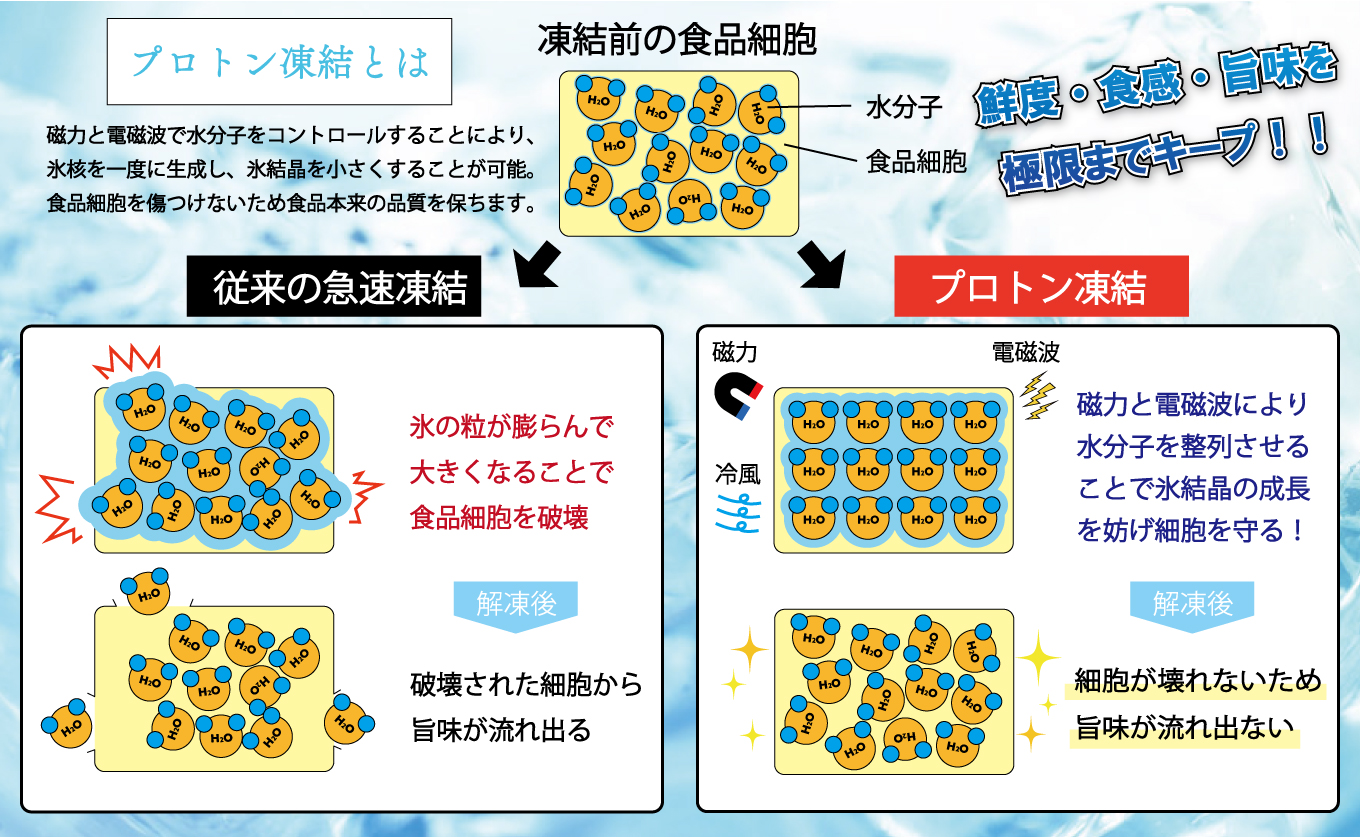 まぐろ マグロ 本鮪 黒潮本まぐろ 大トロ 中トロ 赤身 定期便 3回 計450g × 3回 刺身 さしみ 最優秀賞 全国養殖クロマグロ品評会 受賞 魚 魚介類 海鮮 柵 サク 冷凍 お取り寄せ 産地直送 ギフト 贈答  高知県 大月町