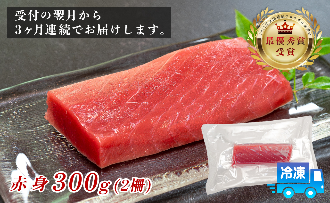 訳あり まぐろ マグロ 本鮪 黒潮本まぐろ 赤身 定期便 3回 300g × 3回 刺身 さしみ 最優秀賞 全国養殖クロマグロ品評会 受賞 魚 魚介類 海鮮 柵 サク 冷凍 お取り寄せ 産地直送 ギフト 贈答  高知県 大月町