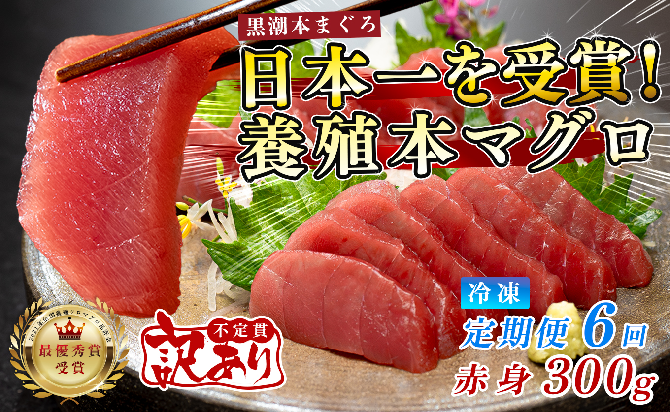 訳あり まぐろ マグロ 本鮪 黒潮本まぐろ 赤身 定期便 6回 300g × 6回 刺身 さしみ 最優秀賞 全国養殖クロマグロ品評会 受賞 魚 魚介類 海鮮 柵 サク 冷凍 お取り寄せ 産地直送 ギフト 贈答  高知県 大月町