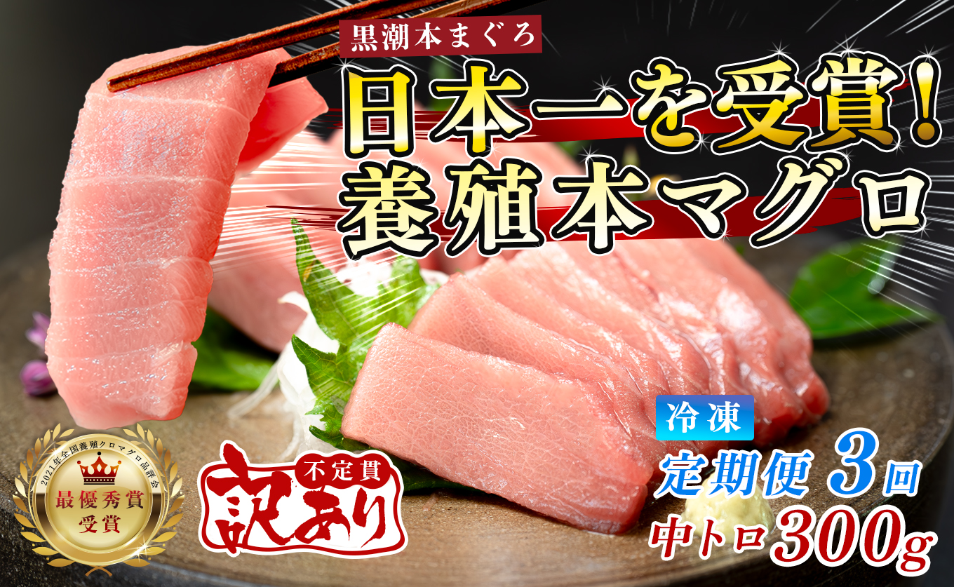 訳あり まぐろ マグロ 本鮪 黒潮本まぐろ 中トロ 定期便 3回 300g × 3回 刺身 さしみ 最優秀賞 全国養殖クロマグロ品評会 受賞 魚 魚介類 海鮮 柵 サク 冷凍 お取り寄せ 産地直送 ギフト 贈答  高知県 大月町