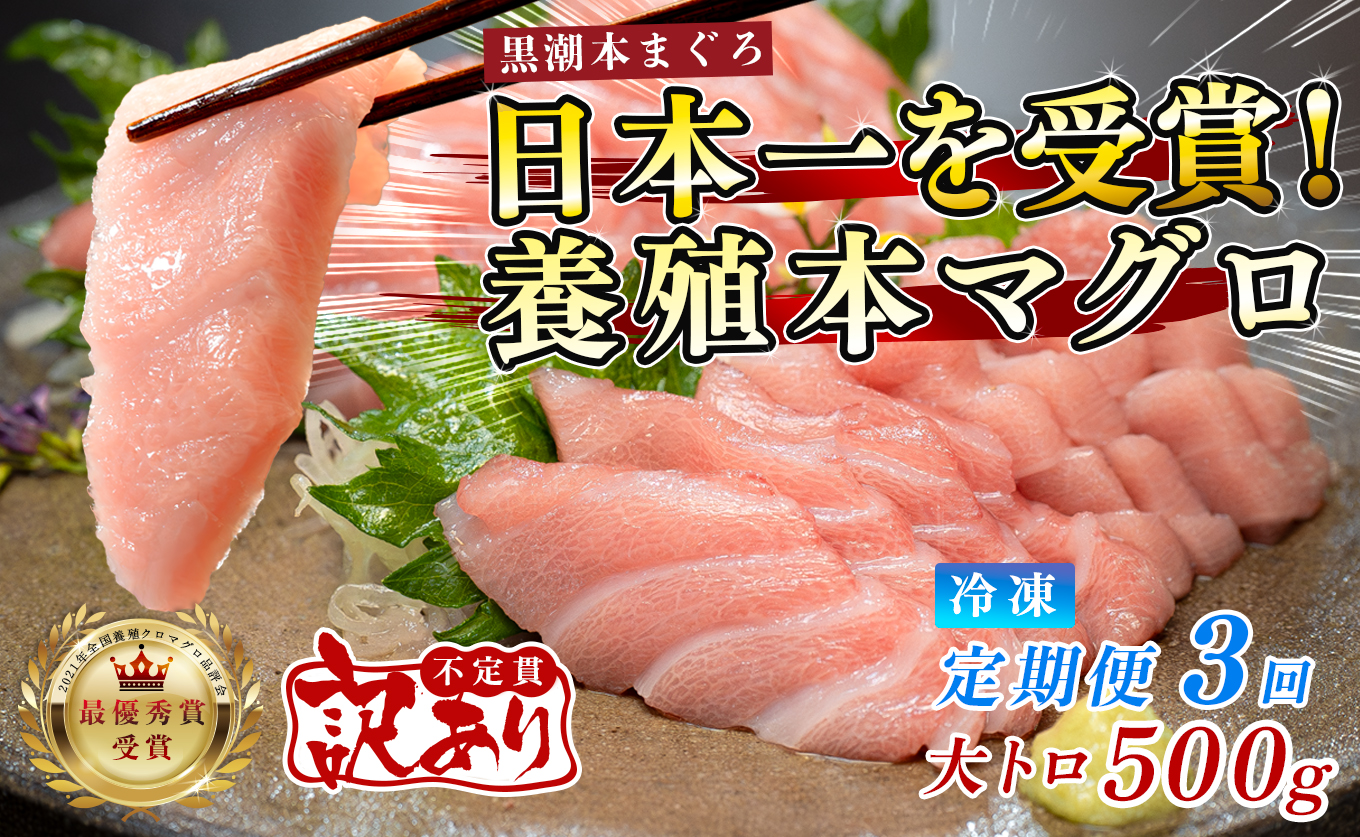 訳あり まぐろ マグロ 本鮪 黒潮本まぐろ 大トロ 定期便 3回 500g × 3回 刺身 さしみ 最優秀賞 全国養殖クロマグロ品評会 受賞 魚 魚介類 海鮮 柵 サク 冷凍 お取り寄せ 産地直送 ギフト 贈答  高知県 大月町