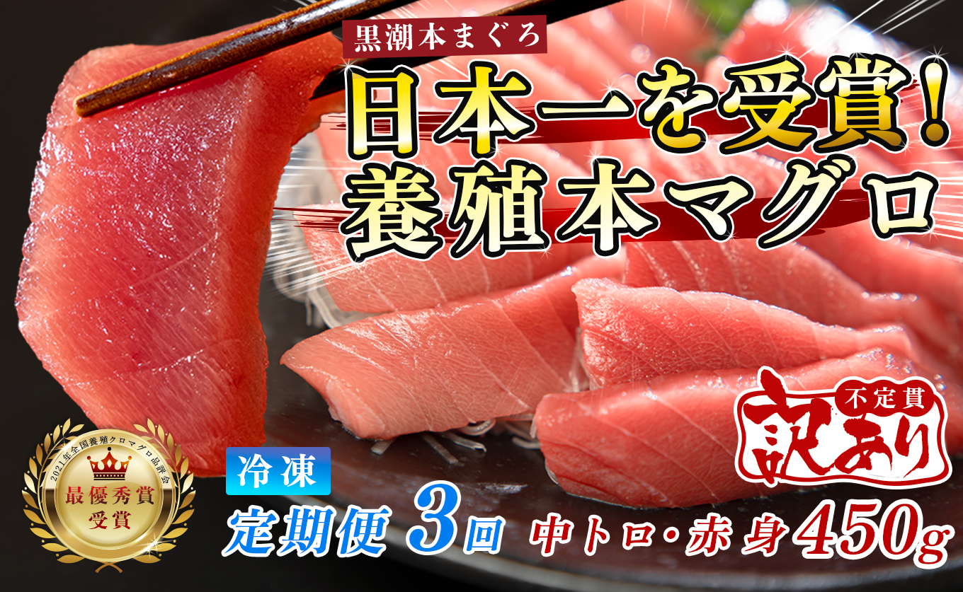 訳あり まぐろ マグロ 本鮪 黒潮本まぐろ 赤身 中トロ 定期便 3回 計450g × 3回 刺身 さしみ 最優秀賞 全国養殖クロマグロ品評会 受賞 魚 魚介類 海鮮 柵 サク 冷凍 お取り寄せ 産地直送 ギフト 贈答  高知県 大月町