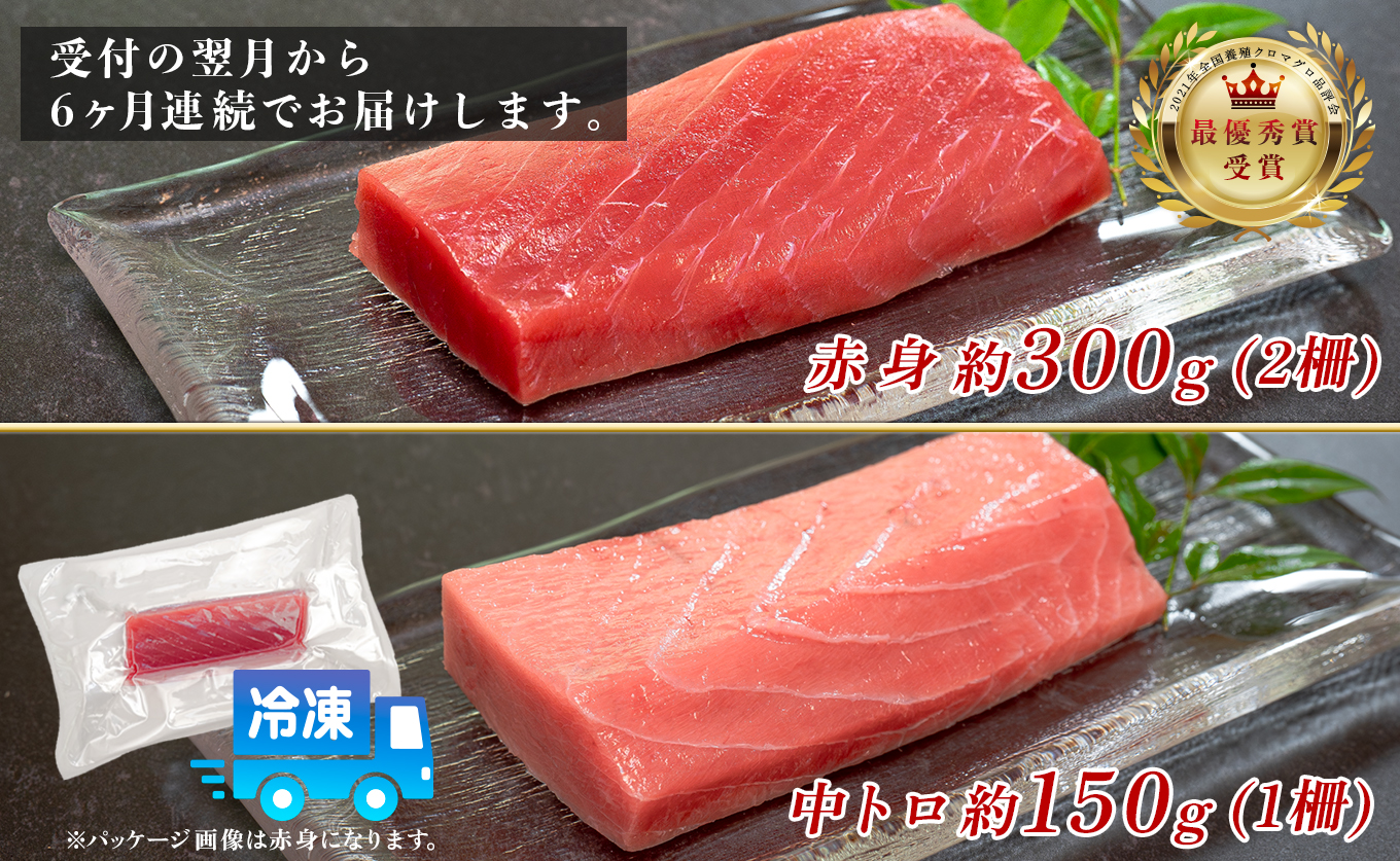 èš³ãã ãŸãã ãã°ã æ¬é®ª 黿œ®æ¬ãŸãã 赀身 äžãã å®æäŸ¿ 6å èš450g à 6å åºèº« ããã¿ æåªç§è³ å
šåœé€æ®ã¯ããã°ãåè©äŒ åè³ é éä»é¡ æµ·é®® æµ ãµã¯ å·å ãåãå¯ã ç£å°çŽé ã®ãã èŽç é«ç¥ç 倧æçº