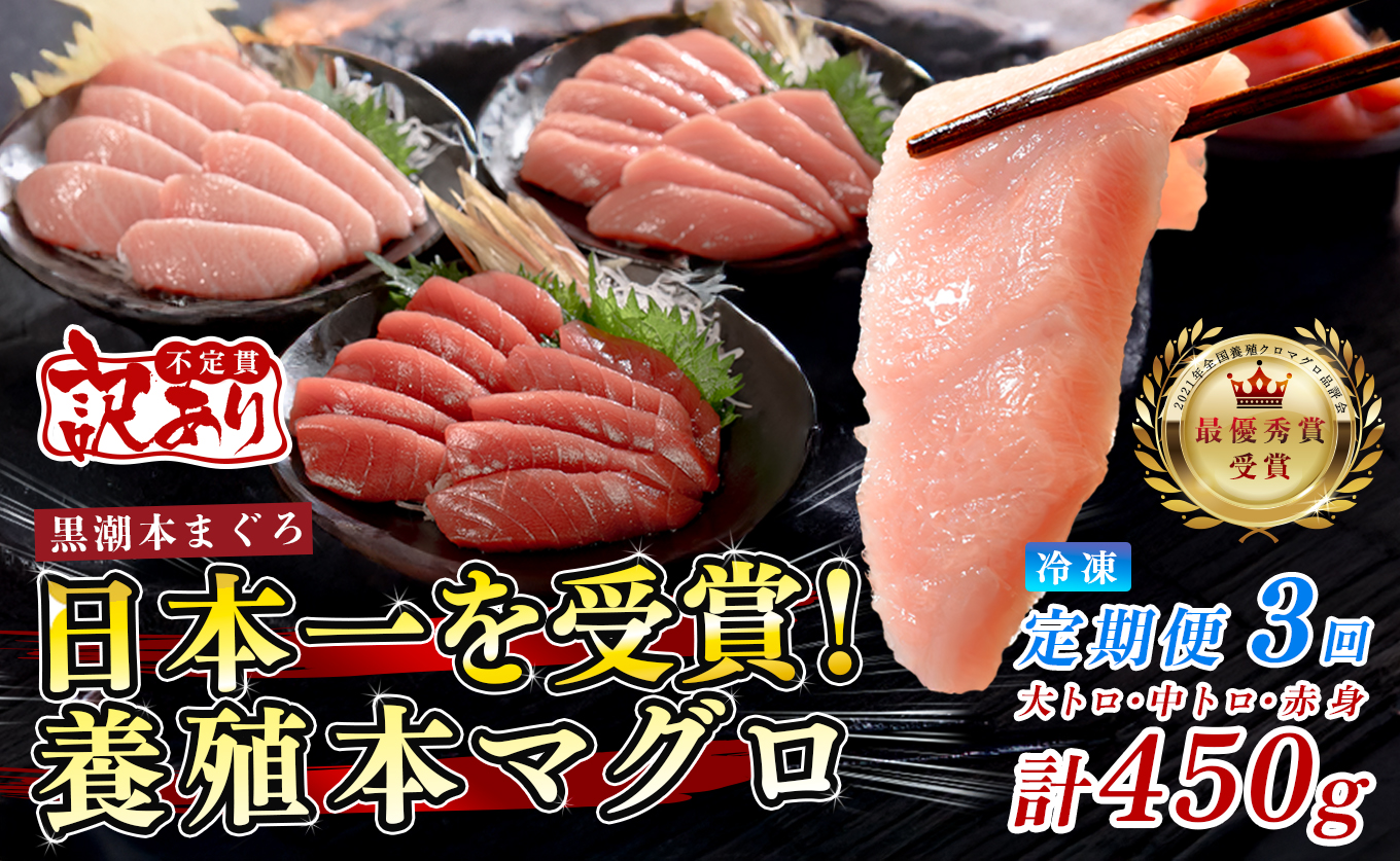 訳あり まぐろ マグロ 本鮪 黒潮本まぐろ 赤身 中トロ 大トロ 定期便 3回 計450g × 3回 刺身 さしみ 最優秀賞 全国養殖クロマグロ品評会 受賞 魚 魚介類 海鮮 柵 サク 冷凍 お取り寄せ 産地直送 ギフト 贈答  高知県 大月町