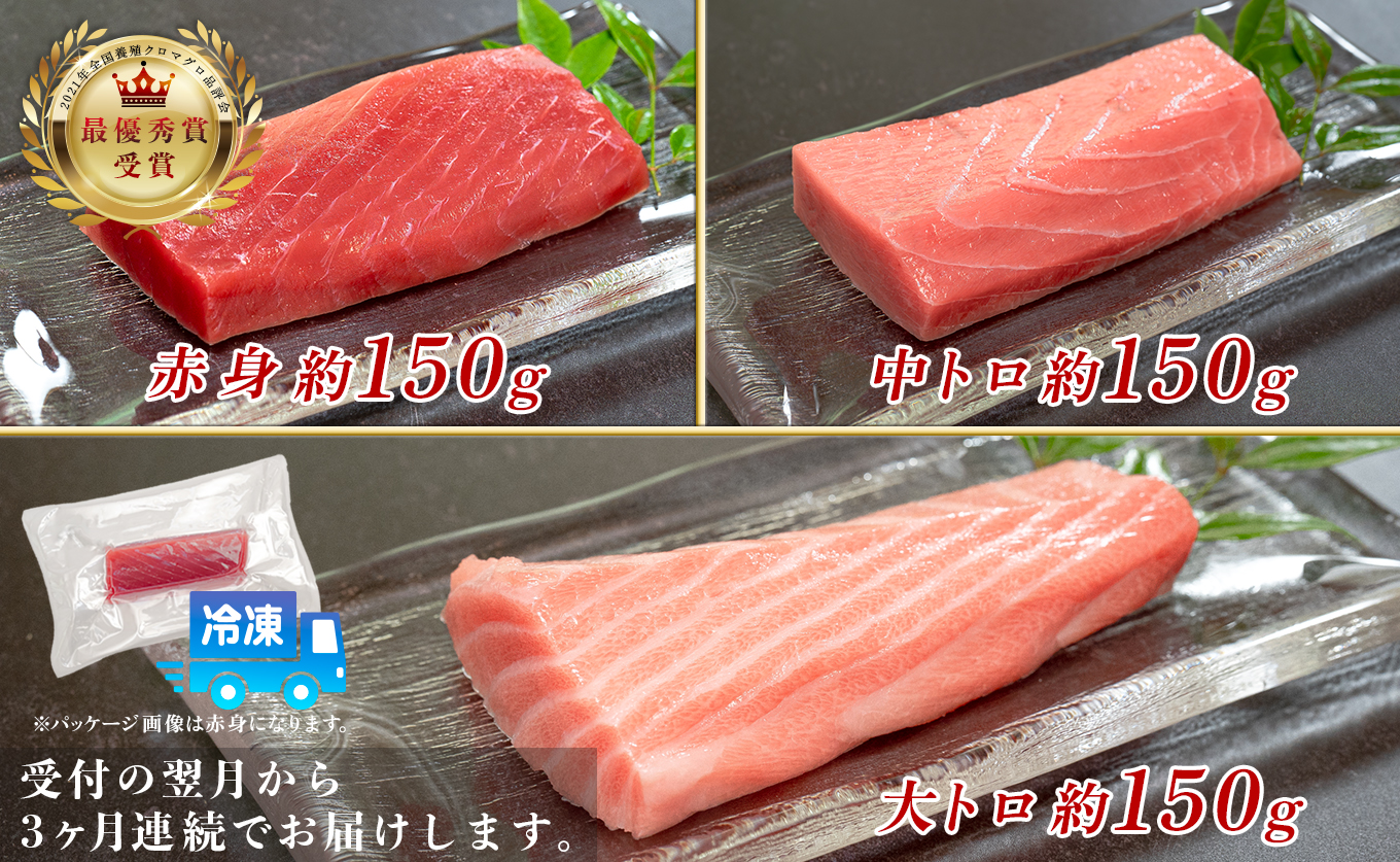 訳あり まぐろ マグロ 本鮪 黒潮本まぐろ 赤身 中トロ 大トロ 定期便 3回 計450g × 3回 刺身 さしみ 最優秀賞 全国養殖クロマグロ品評会 受賞 魚 魚介類 海鮮 柵 サク 冷凍 お取り寄せ 産地直送 ギフト 贈答  高知県 大月町