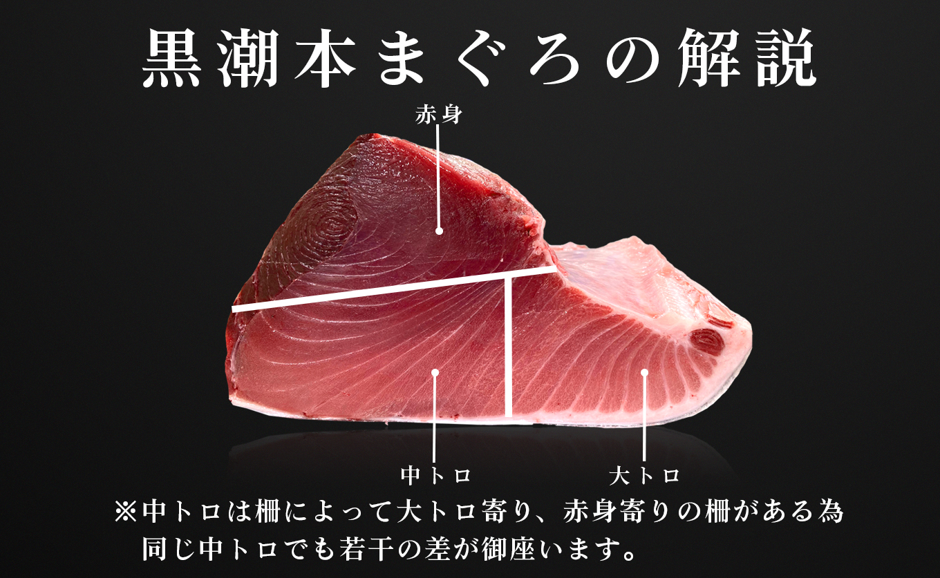 訳あり まぐろ マグロ 本鮪 黒潮本まぐろ 赤身 中トロ 大トロ 定期便 6回 計450g × 6回 刺身 さしみ 最優秀賞 全国養殖クロマグロ品評会 受賞 魚 魚介類 海鮮 柵 サク 冷凍 お取り寄せ 産地直送 ギフト 贈答  高知県 大月町