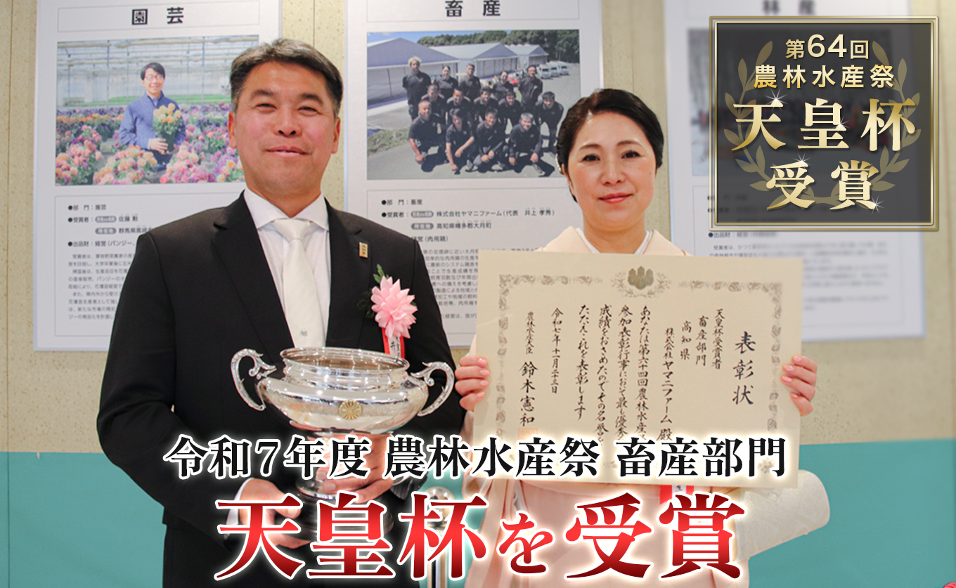 鶏肉 もも肉 1kg 定期便 6回 （1kg×6回） 鶏もも モモ肉 チキン 唐揚げ 若鶏 ブランド鶏 最優秀賞 天皇杯 受賞 小分け 冷凍 骨なし お弁当 照り焼き チキンステーキ 切り身 6kg 大容量 よさこい尾鶏 高知県 大月町