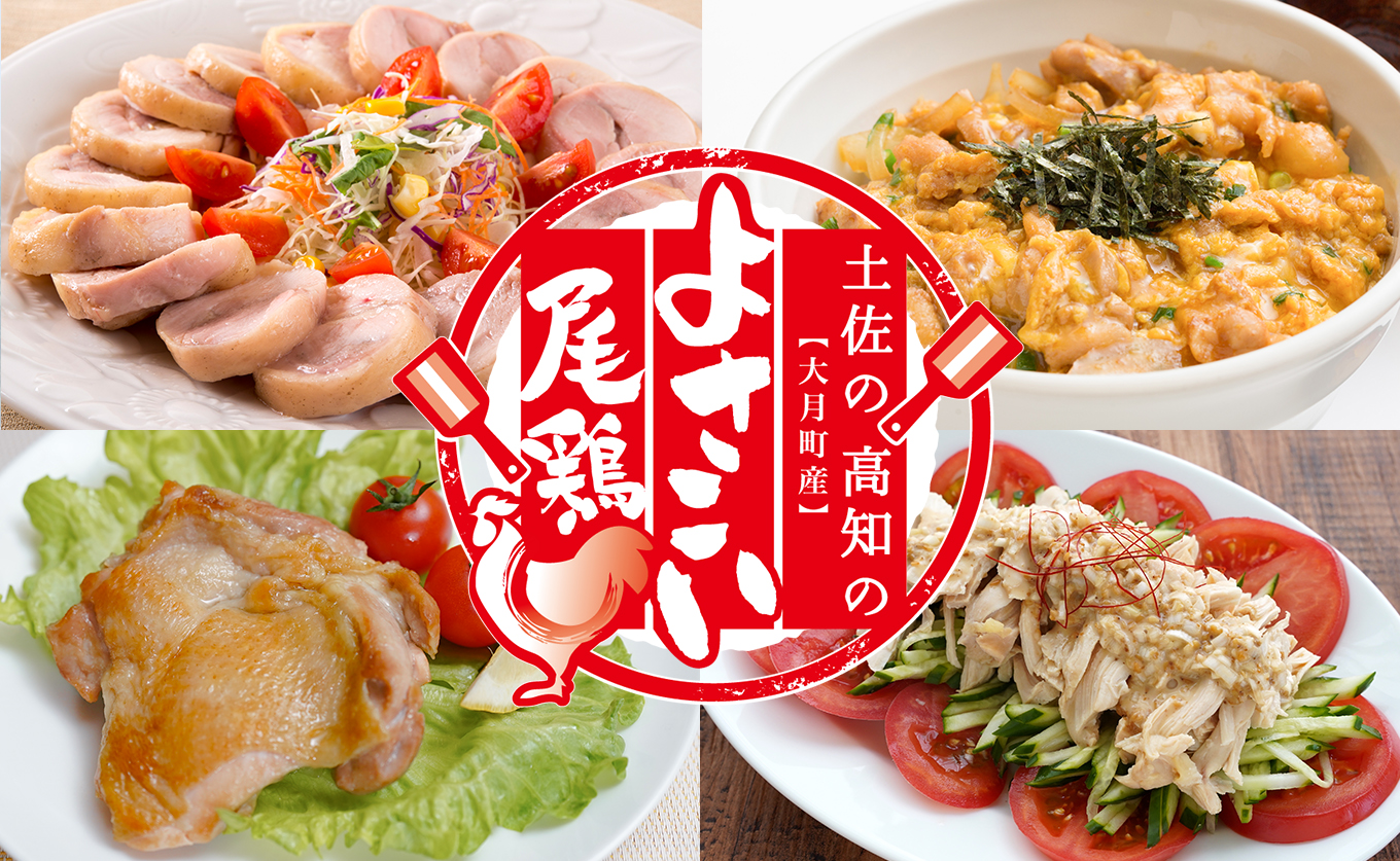 鶏肉 もも肉 1kg 定期便 6回 （1kg×6回） 鶏もも モモ肉 チキン 唐揚げ 若鶏 ブランド鶏 最優秀賞 天皇杯 受賞 小分け 冷凍 骨なし お弁当 照り焼き チキンステーキ 切り身 6kg 大容量 よさこい尾鶏 高知県 大月町