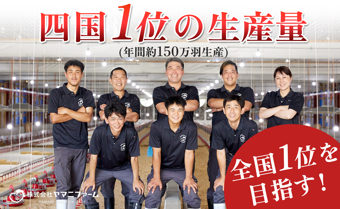 鶏肉 もも肉角切り 900g 定期便 6回 （900g×6回） 鶏もも モモ肉 チキン 唐揚げ 若鶏 ブランド鶏 最優秀賞 天皇杯 受賞 小分け 冷凍 骨なし お弁当 カット ブツ切り チキン南蛮 5.4kg 大容量 よさこい尾鶏 高知県 大月町