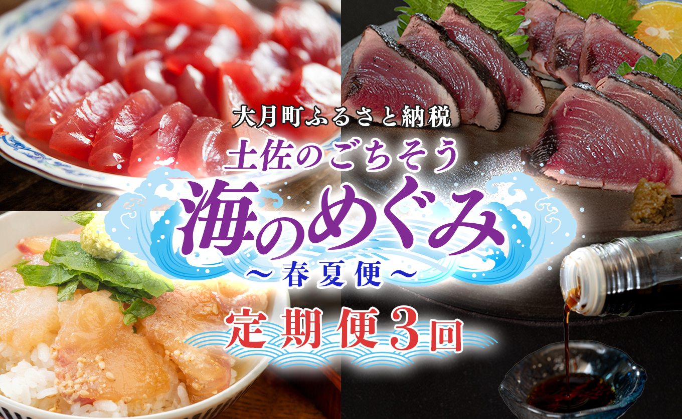 【定期便 3回】土佐のごちそう 海のめぐみ 春夏便｜新鮮 藁焼き かつお カツオ タタキ マグロ 赤身 真鯛 漬け丼 海鮮 魚介 海の幸 産地直送 旬 贈答用 おつまみ おかず ご褒美 送料無料 配送日指定可 おすすめ 人気 春 夏 ギフト お中元