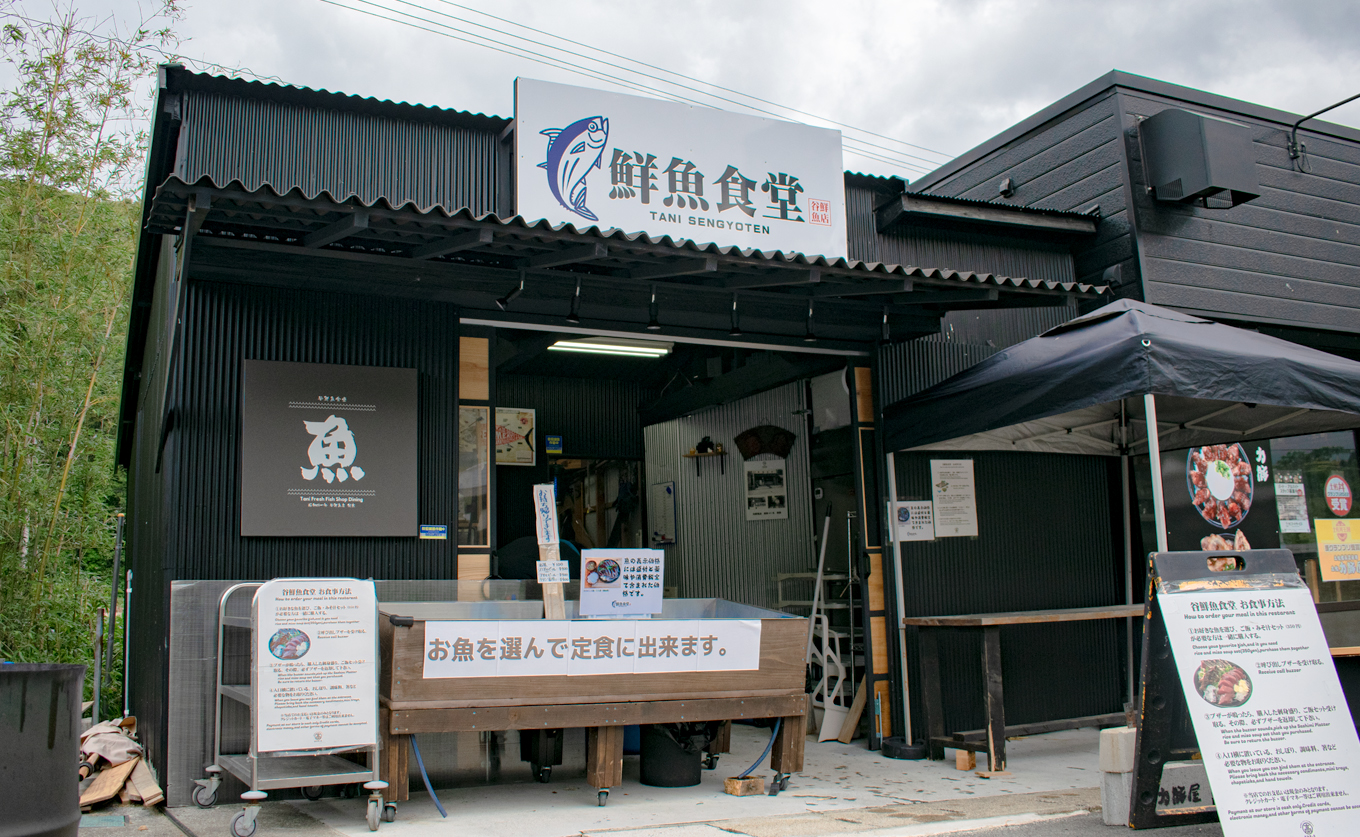 【定期便 3回】土佐のごちそう 海のめぐみ 海鮮 秋冬便｜新鮮 藁焼き かつお カツオ タタキ 一夜干し 干物 真鯛 漬け丼 海鮮 魚介 海の幸 産地直送 旬 贈答用 おつまみ おかず ご褒美 送料無料 配送日指定可 おすすめ 人気 秋 冬 ギフト