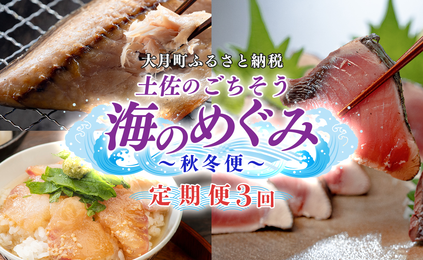 【定期便 3回】土佐のごちそう 海のめぐみ 海鮮 秋冬便｜新鮮 藁焼き かつお カツオ タタキ 一夜干し 干物 真鯛 漬け丼 海鮮 魚介 海の幸 産地直送 旬 贈答用 おつまみ おかず ご褒美 送料無料 配送日指定可 おすすめ 人気 秋 冬 ギフト
