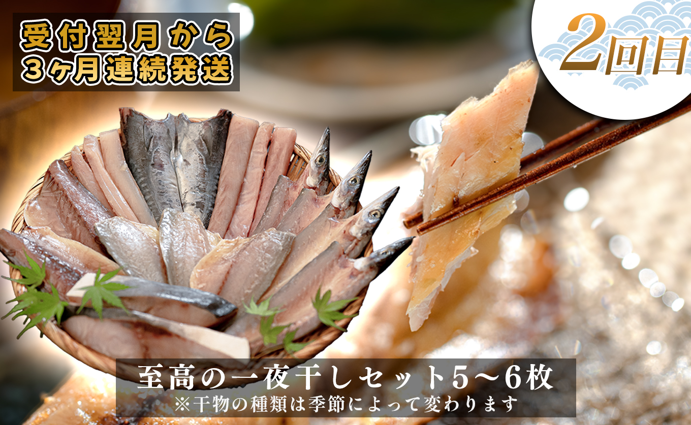 【定期便 3回】土佐のごちそう 海のめぐみ 海鮮 秋冬便｜新鮮 藁焼き かつお カツオ タタキ 一夜干し 干物 真鯛 漬け丼 海鮮 魚介 海の幸 産地直送 旬 贈答用 おつまみ おかず ご褒美 送料無料 配送日指定可 おすすめ 人気 秋 冬 ギフト