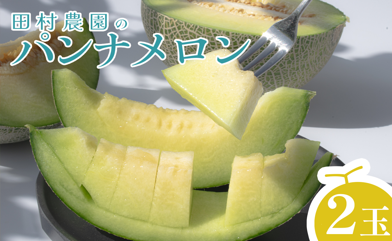 パンナメロン 2玉 希少 甘い 芳醇 メロン フルーツ 果物 濃厚 産地直送 数量限定 厳選 ギフト 贈答用 贈り物 プレゼント お中元 お歳暮 ご褒美 めろん ぱんなめろん 果汁たっぷり 果肉 果実 糖度 人気 旬 夏 デザート